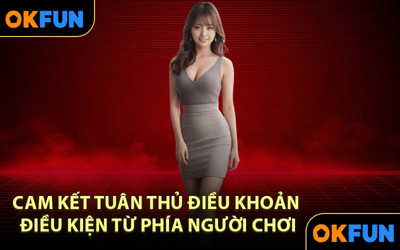Cam kết tuân thủ điều khoản điều kiện từ phía người chơi